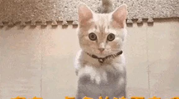 九游娱乐平台炸裂！网曝小S老公带陌生母女玩亲子游戏她再也忍不了了！ title=