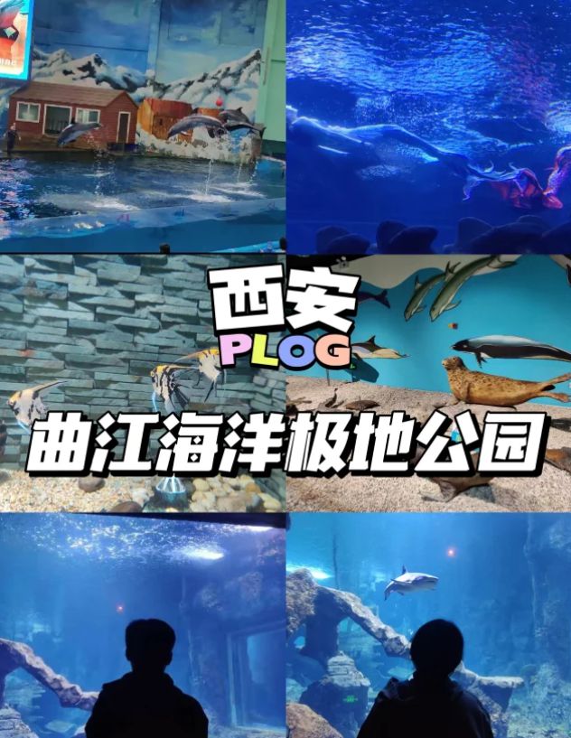 九游娱乐官网国庆带娃来西安5日游西安亲子旅游攻略5天探秘美景之旅！(图2)