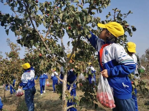 房山亲子活动！山楂采摘做糖葫芦草帽DIY户外儿童乐九游娱乐平台园免费畅玩！还可累计公益时长！(图2)