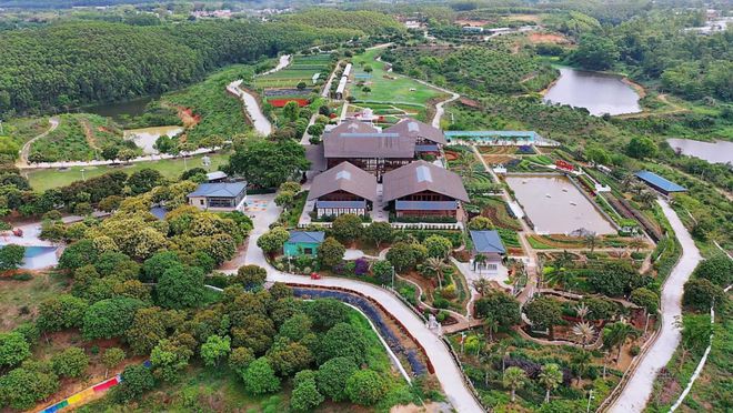 九游娱乐江门篇 国庆亲子游去哪里？大脚丫小脚丫丈量每一寸土地(图21)